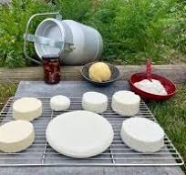 Küchenworkshop von der Milch zum Käse mit Stefan Weigert