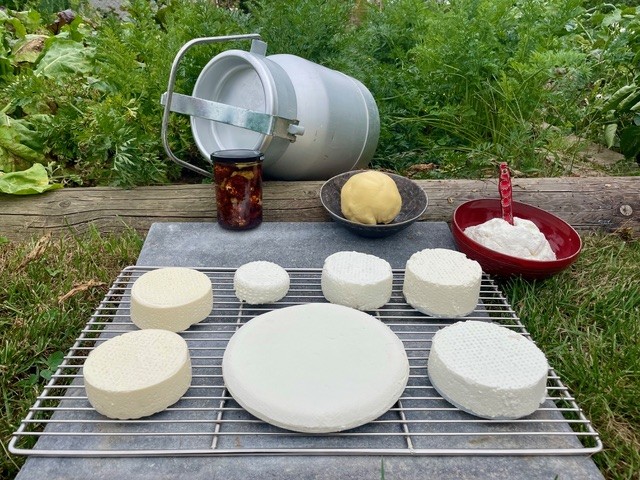 Küchenworkshop von der Milch zum Käse mit Stefan Weigert
